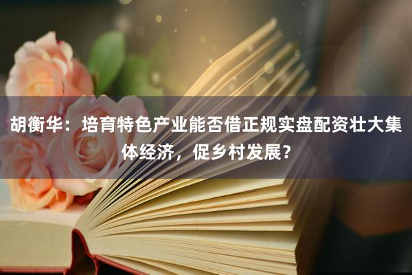 胡衡华：培育特色产业能否借正规实盘配资壮大集体经济，促乡村发展？