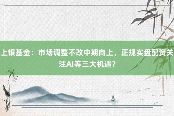 上银基金：市场调整不改中期向上，正规实盘配资关注AI等三大机遇？