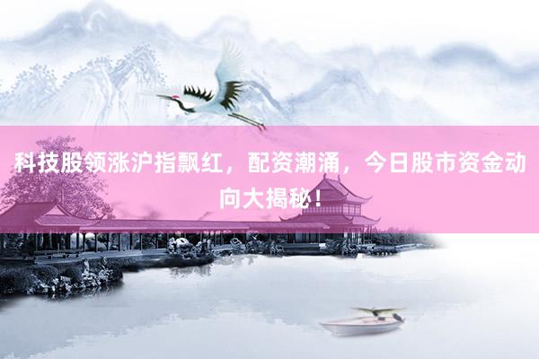 科技股领涨沪指飘红，配资潮涌，今日股市资金动向大揭秘！