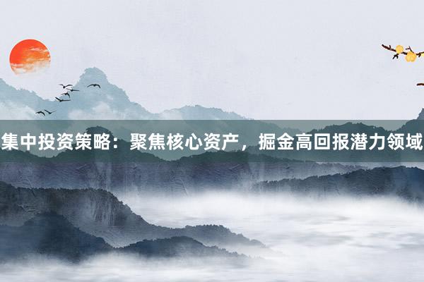 集中投资策略：聚焦核心资产，掘金高回报潜力领域