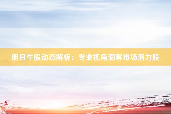 明日牛股动态解析：专业视角洞察市场潜力股