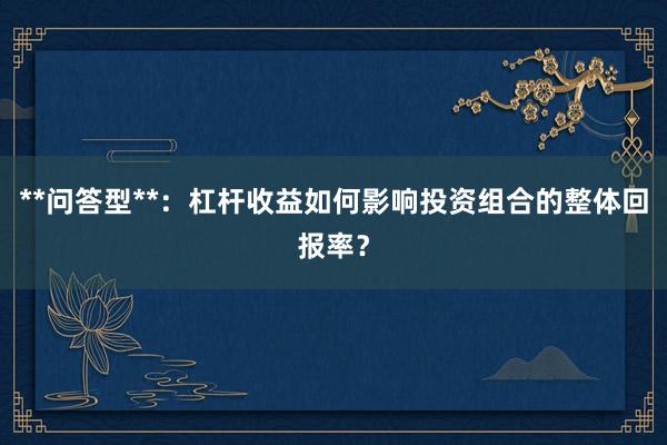 **问答型**:杠杆收益如何影响投资组合的整体回报率?