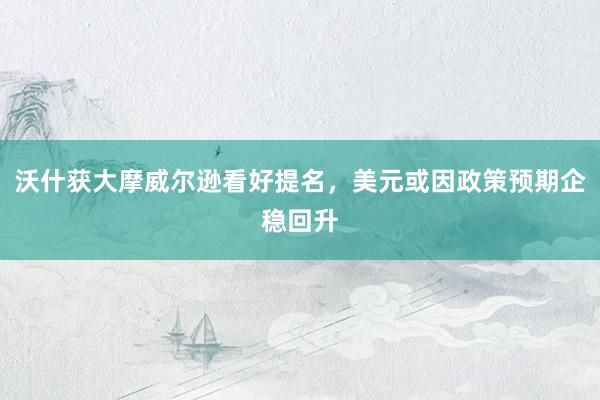 沃什获大摩威尔逊看好提名，美元或因政策预期企稳回升