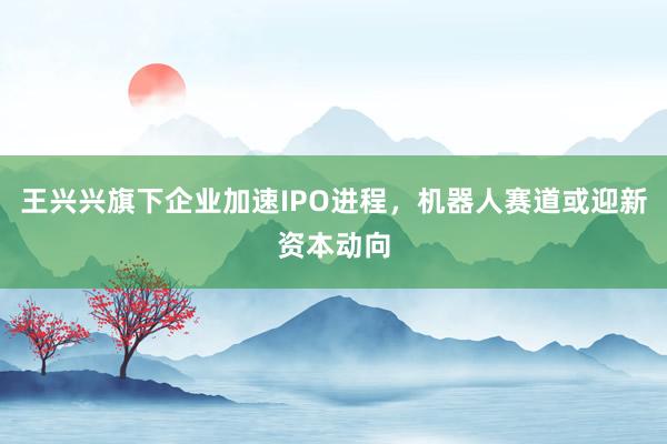 王兴兴旗下企业加速IPO进程，<a href=