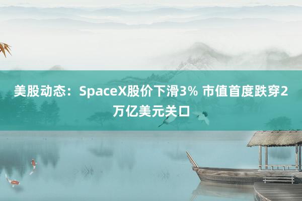 美股动态：SpaceX股价下滑3% 市值首度跌穿2万亿美元关口