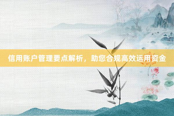 信用账户管理要点解析，助您合规高效运用资金