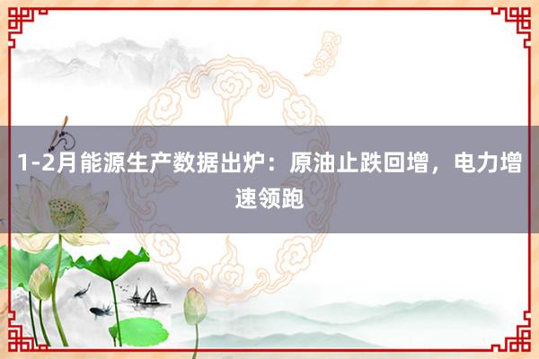 1-2月能源生产数据出炉：原油止跌回增，电力增速领跑