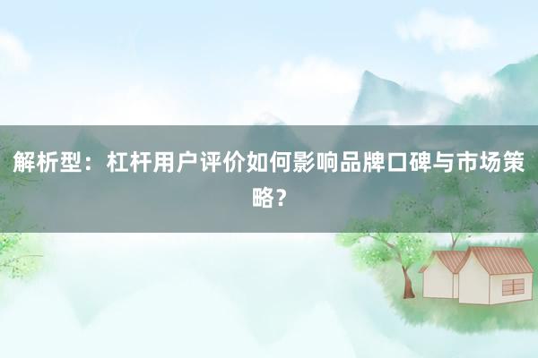 解析型：杠杆用户评价如何影响品牌口碑与市场策略？