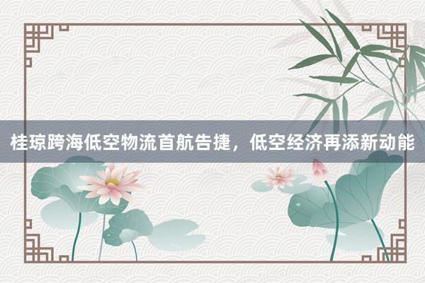 桂琼跨海低空物流首航告捷，低空经济再添新动能