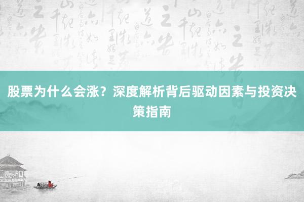 股票为什么会涨？深度解析背后驱动因素与投资决策指南