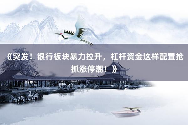 《突发！银行板块暴力拉升，杠杆资金这样配置抢抓涨停潮！》