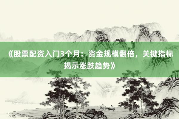 《股票配资入门3个月：资金规模翻倍，关键指标揭示涨跌趋势》