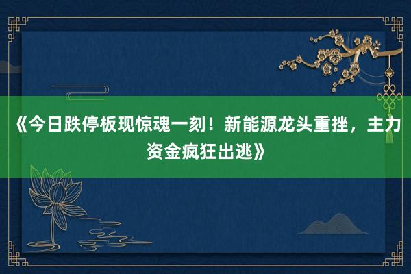 《今日跌停板现惊魂一刻！新能源龙头重挫，主力资金疯狂出逃》
