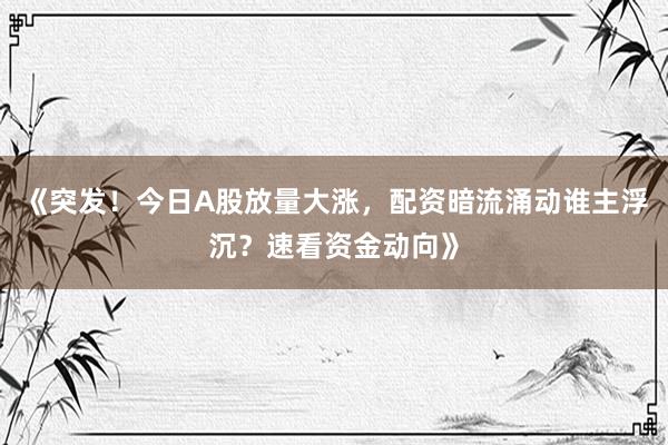 《突发！今日A股放量大涨，配资暗流涌动谁主浮沉？速看资金动向》