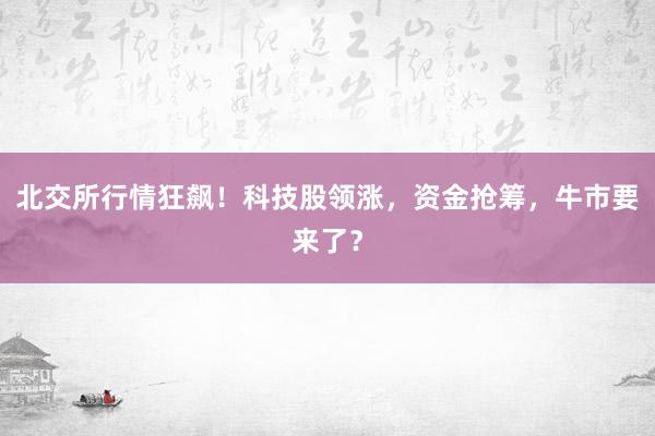 北交所行情狂飙！科技股领涨，资金抢筹，牛市要来了？