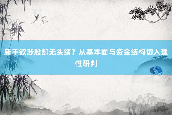 新手欲涉股却无头绪?从基本面与资金结构切入理性研判
